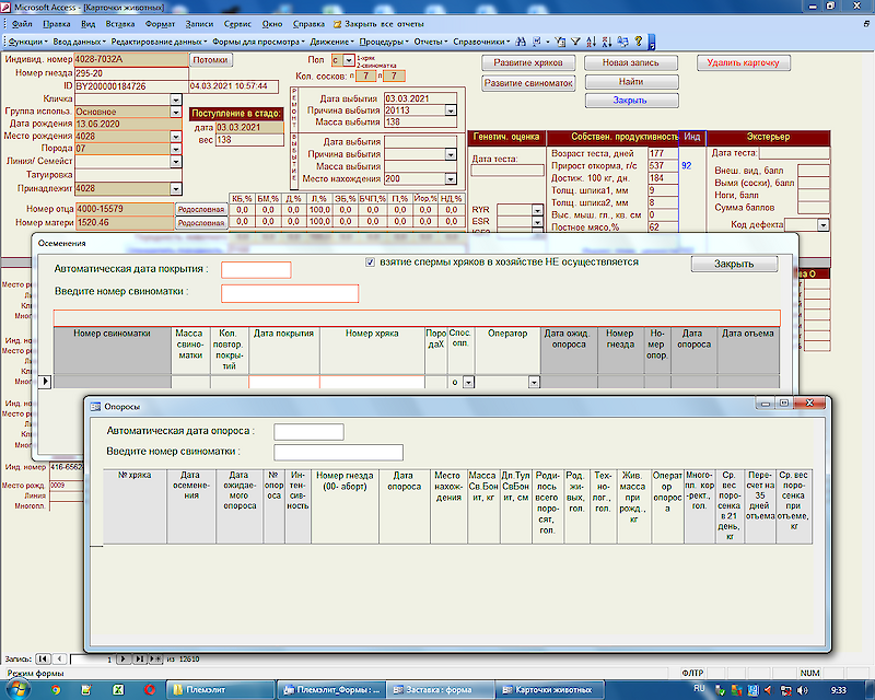 Automatisiertes Zuchtmanagementsystem "Plemelit"